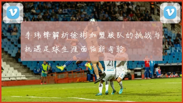 李玮锋解析徐彬加盟狼队的挑战与机遇足球生涯面临新考验