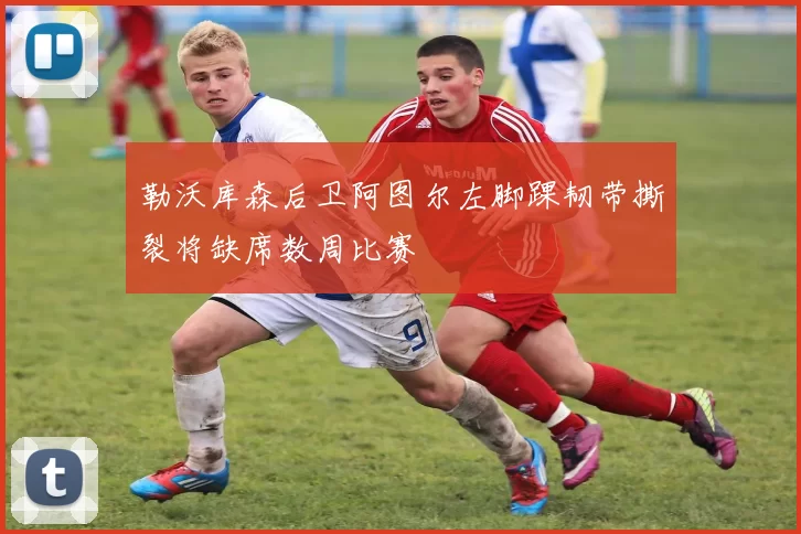 勒沃库森后卫阿图尔左脚踝韧带撕裂将缺席数周比赛