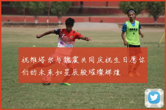 祝维塔尔与魏震共同庆祝生日愿你们的未来如星辰般璀璨辉煌